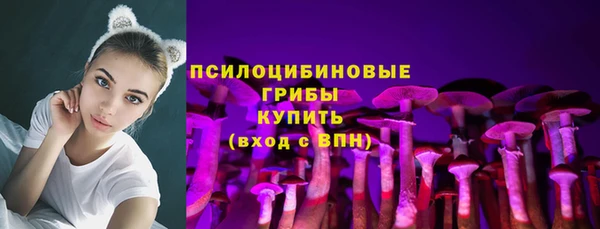 бутик Бородино