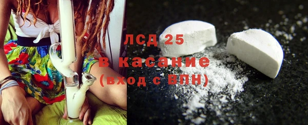 ГАЛЛЮЦИНОГЕННЫЕ ГРИБЫ Семёнов