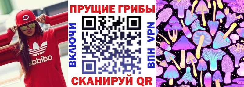 Галлюциногенные грибы Psilocybine cubensis  цены   Южноуральск 